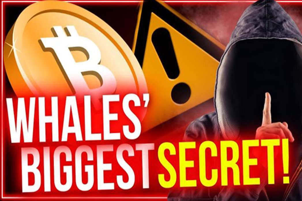Whale's biggest crypto and blockchain secrets.