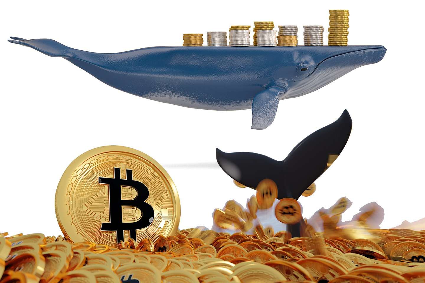 A crypto whale is soaring above a mesmerising pile of Bitcoin, showcasing the marvels of NFT technology.