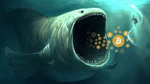 An image of a crypto whale with bitcoins coming out of its mouth.