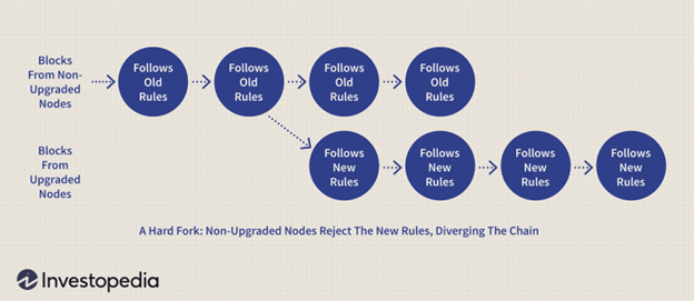 Blocks demonstrating hard fork on a Blockchain.