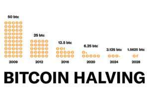 popular cryptocurrency and digital blockchain currency bitcoin halving concept. A Bitcoin halving cuts the rate at which new bitcoins are released into circulation in half.