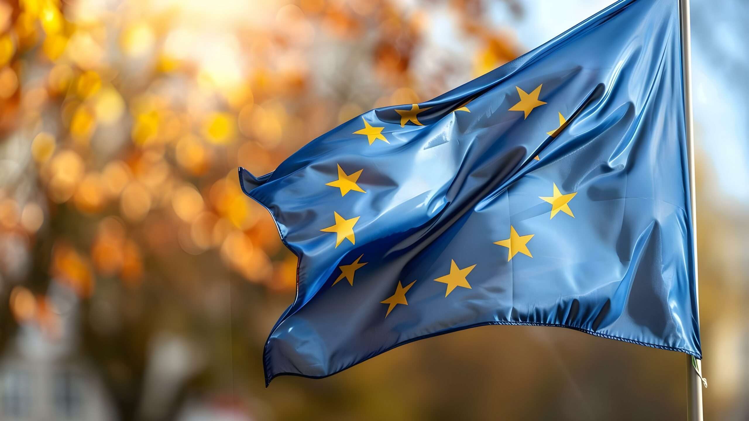 Regulations in the EU ensure sound banking practices and government budgeting standards.